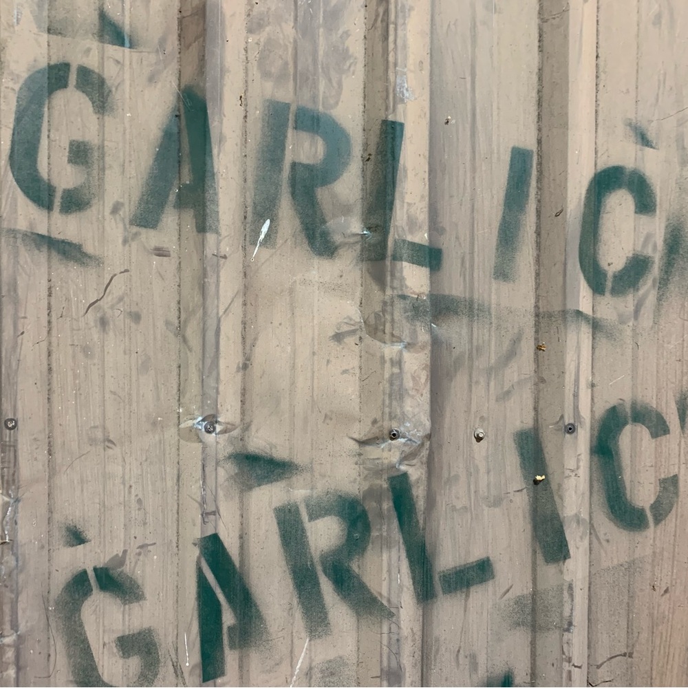 Garlic from The Farm: San Juan Island - Picture 12 of 14